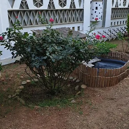 Galazio Kyma דירה אגיוס יואניס